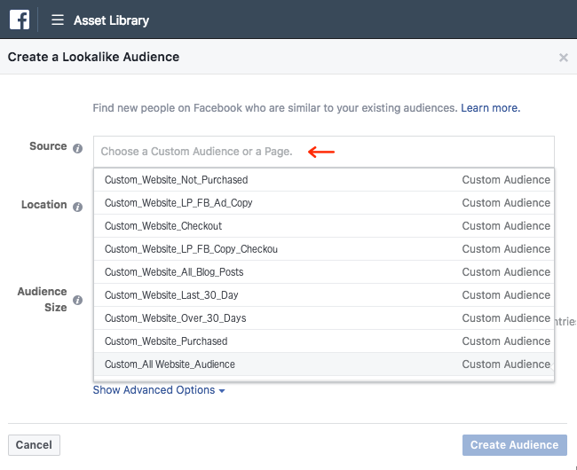 Facebook Ads - Business Manager - Asset Library - Audiences - Create a Lookalike Audience - Multiple Audiences - Source - List Expanded