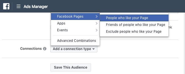 Facebook Ads - Business Manager - Ads Manager - Guided Creation - Create Ad Set - Audience - Connections Expanded
