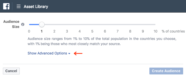Facebook Ads - Business Manager - Asset Library - Audiences - Create a Lookalike Audience - Single Audience - Show Advanced Options