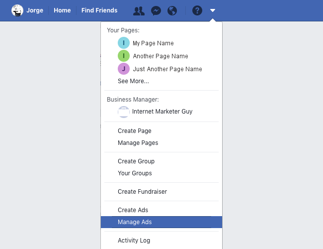 Facebook Ads - Settings - Menu Expanded - Manage Ads Selected